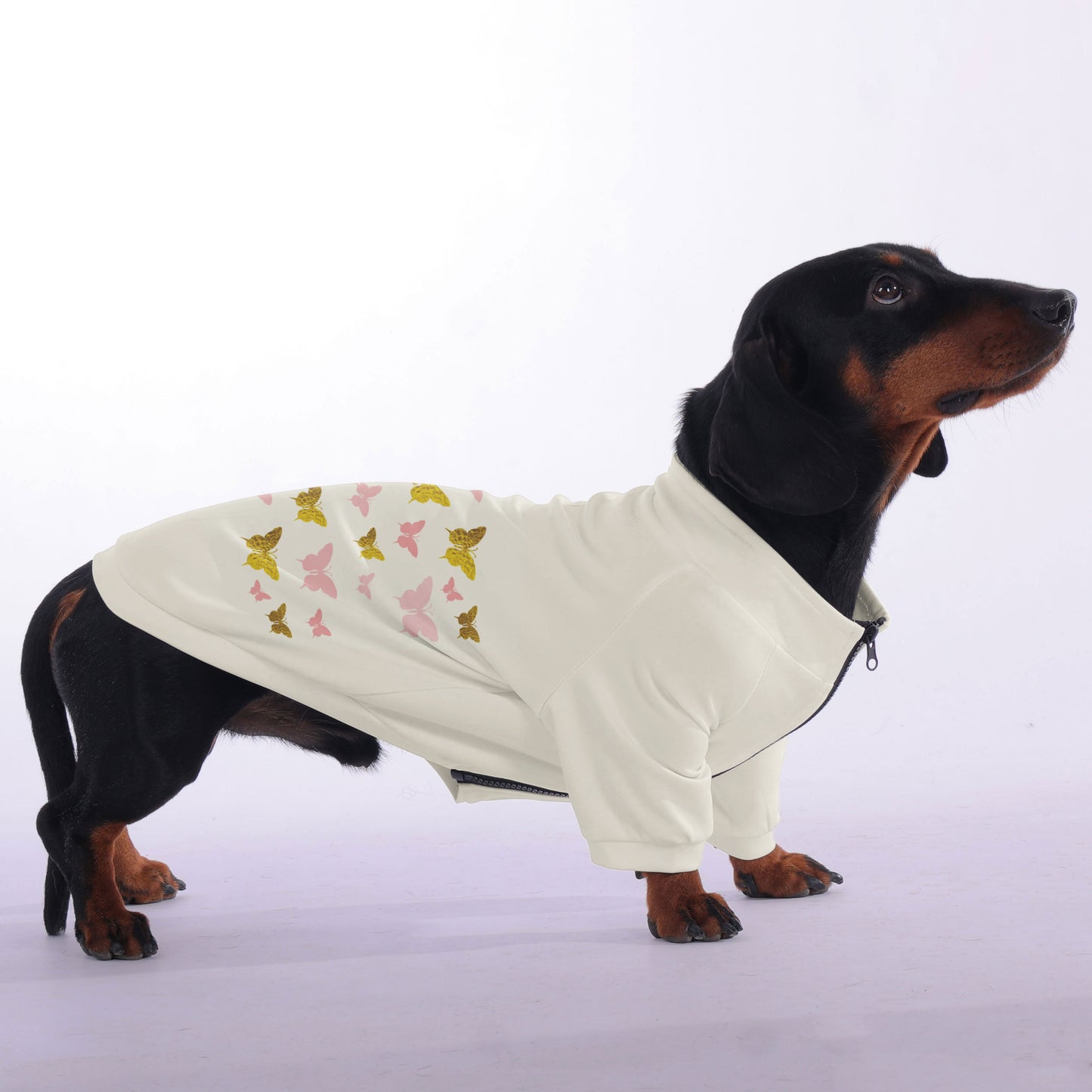 Wilma - zip-up hooded sweatshirt for dachshund