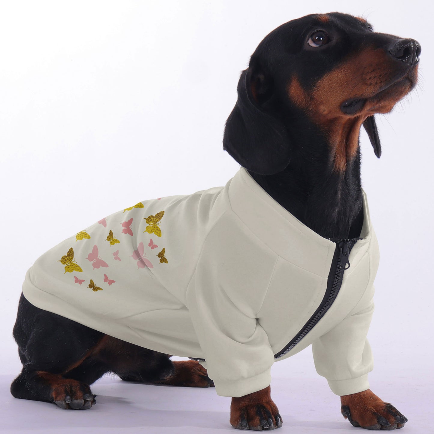 Wilma - zip-up hooded sweatshirt for dachshund