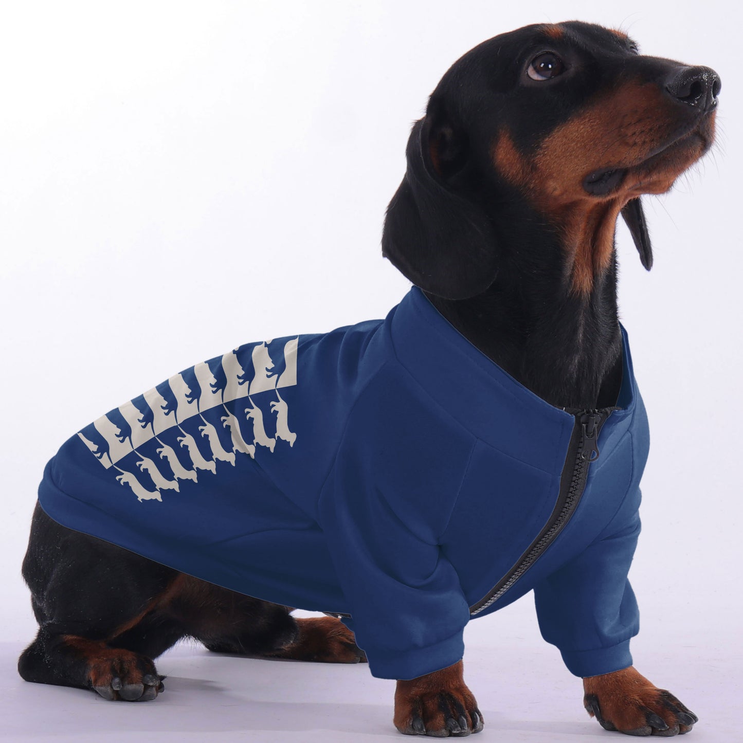 Olivia - zip-up hooded sweatshirt for dachshund