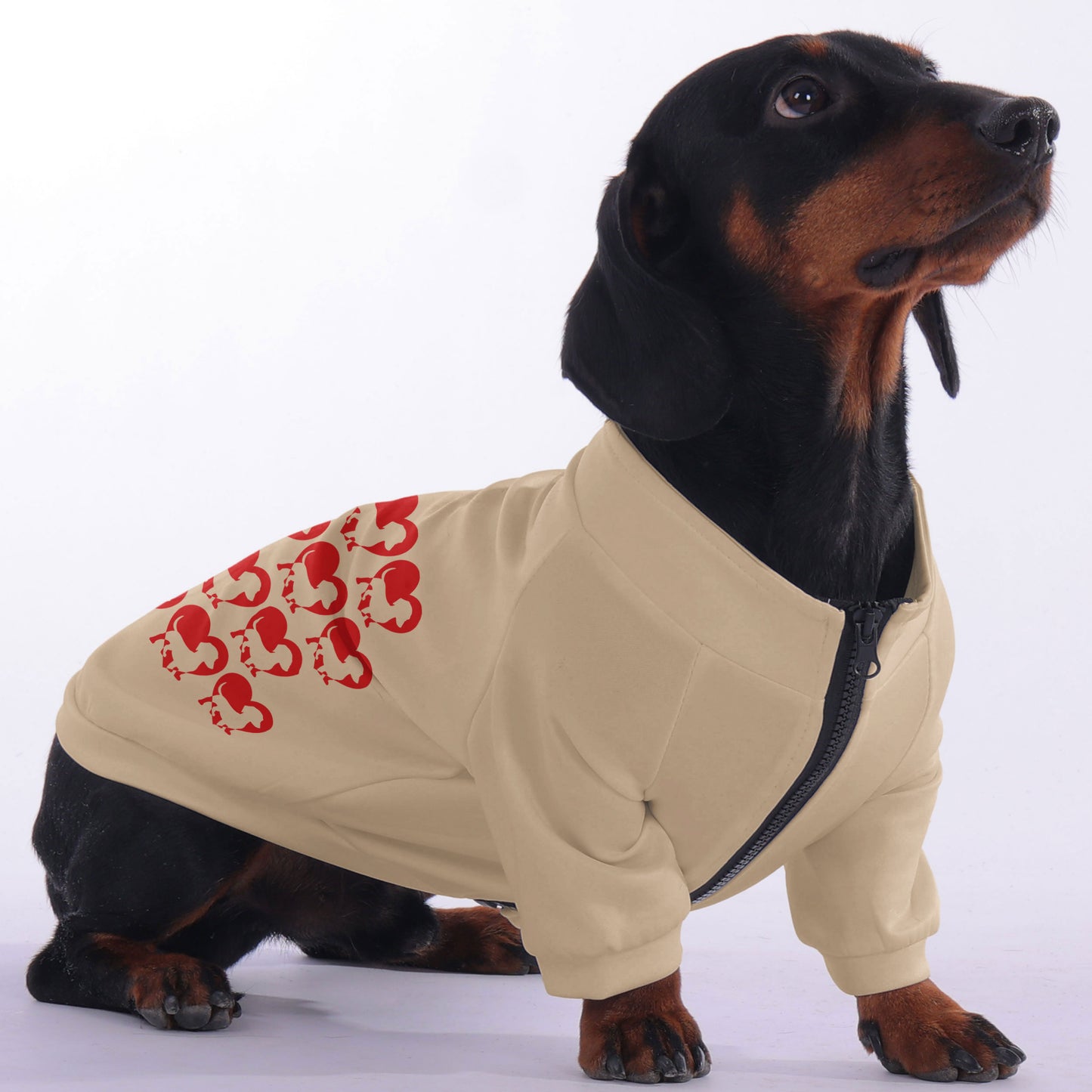 Frankie  - zip-up hooded sweatshirt for dachshund