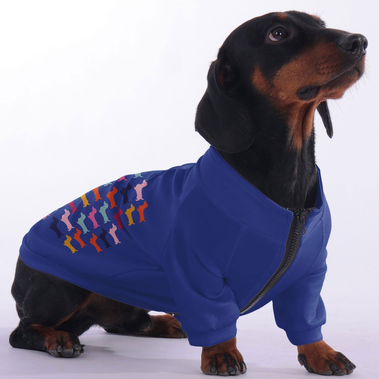Maple - zip-up hooded sweatshirt for dachshund