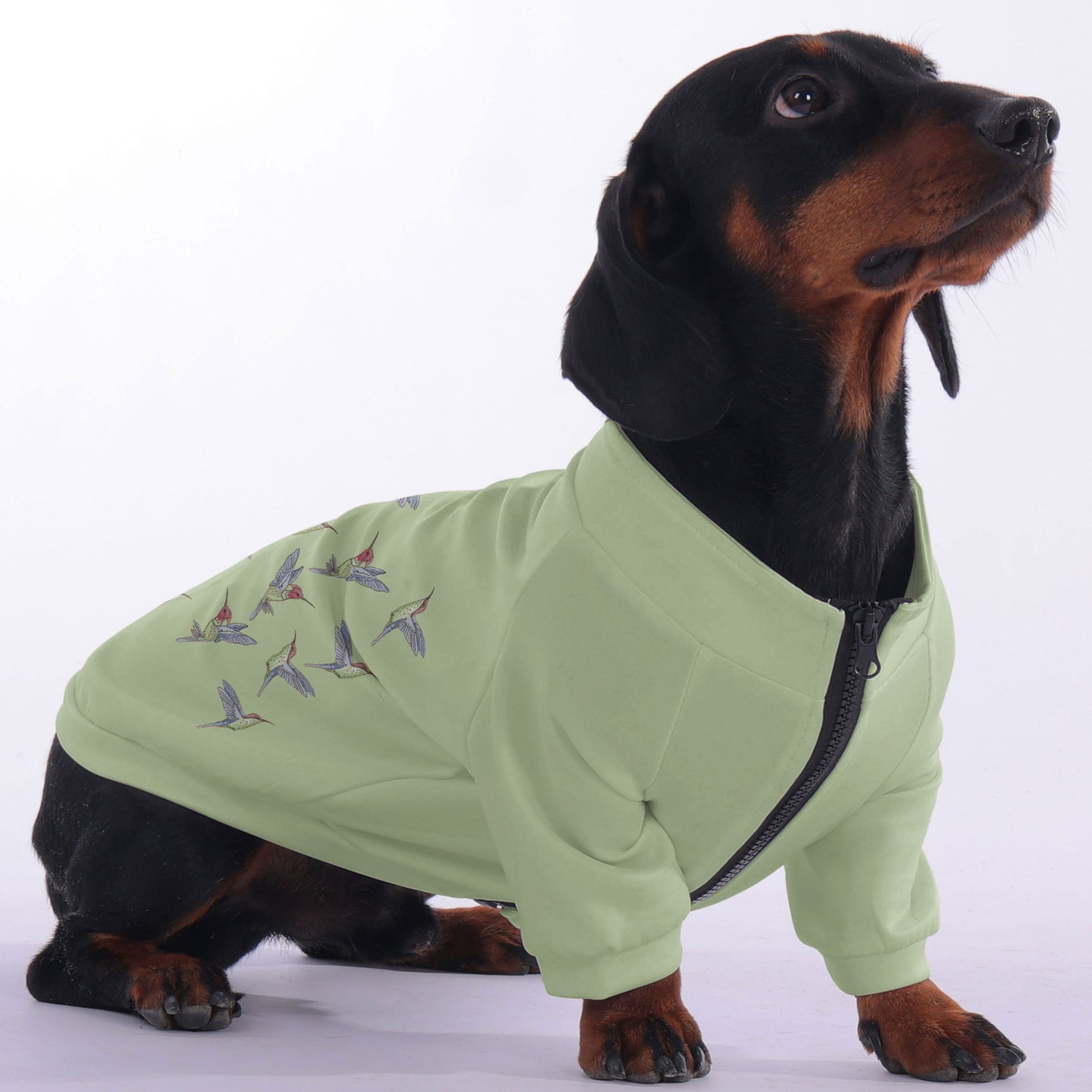 Angel - zip-up hooded sweatshirt for dachshund