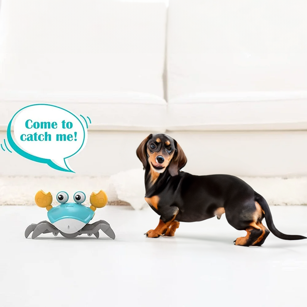 DachsyPlay™ - Juguete Cangrejo Interactivo Dachshund