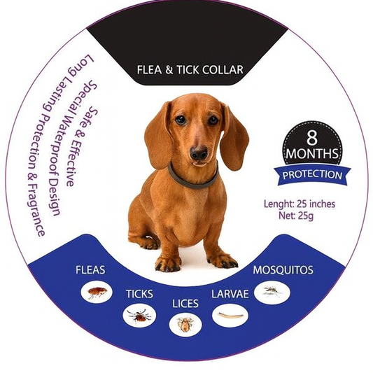 DEFEAX™-Dachshund-Collar.jpg