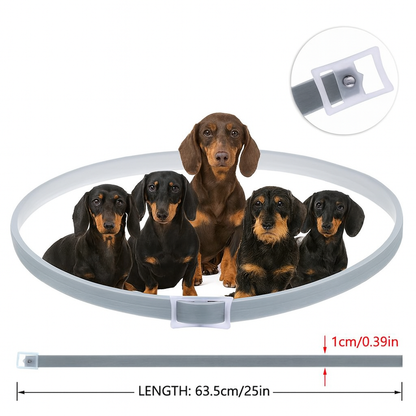 DEFEAX™-Dachshund-Collar.jpg