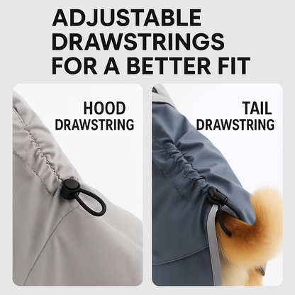 DachDrop-Dachshund-Raincoat.jpg