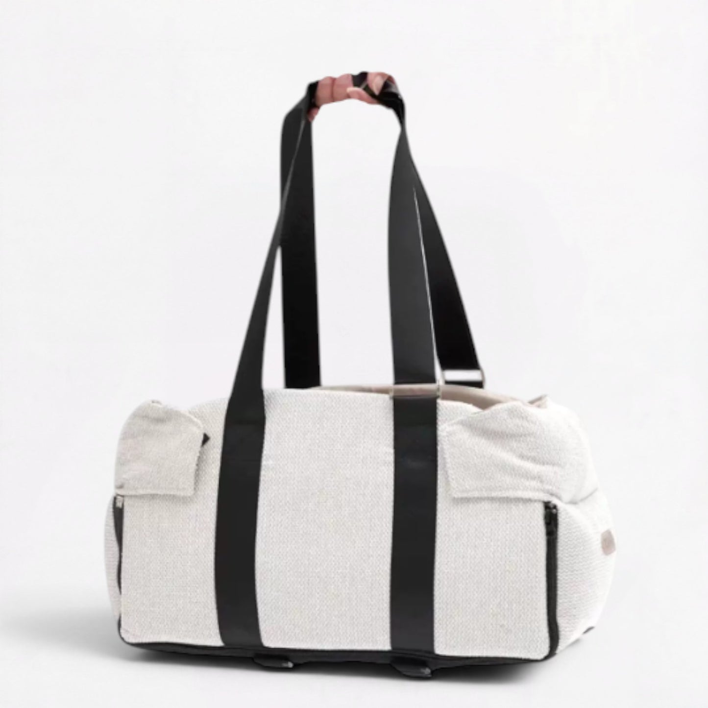 DachEase-Dachshund-Portable-Car-Seat.jpg