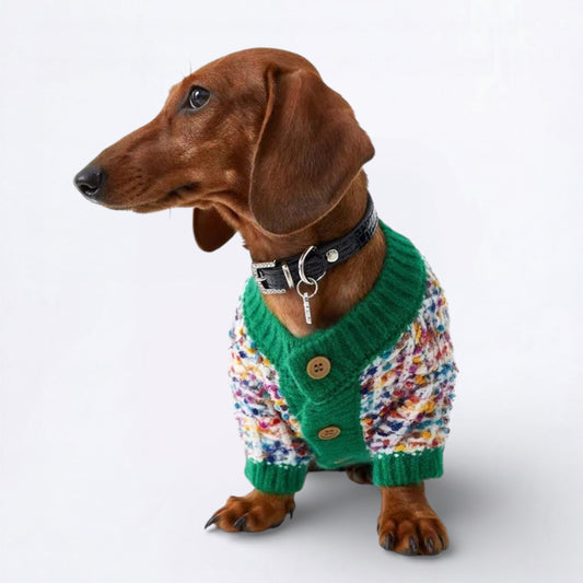 DachFash-Dachshund-Winter-Sweater.jpg