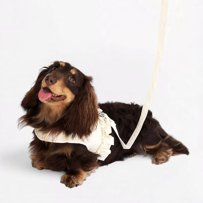 DachLac-Dachshund-Soft-Ruffle-Lace-Vest.jpg