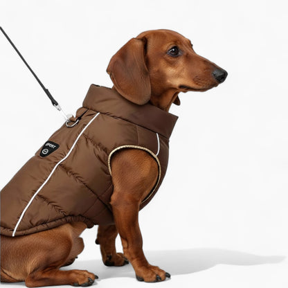 DachLox-Dachshund-Puffer-Vest.jpg
