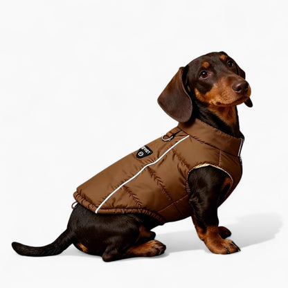 DachLox-Dachshund-Puffer-Vest.jpg