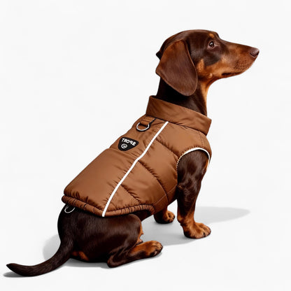 DachLox-Dachshund-Puffer-Vest.jpg