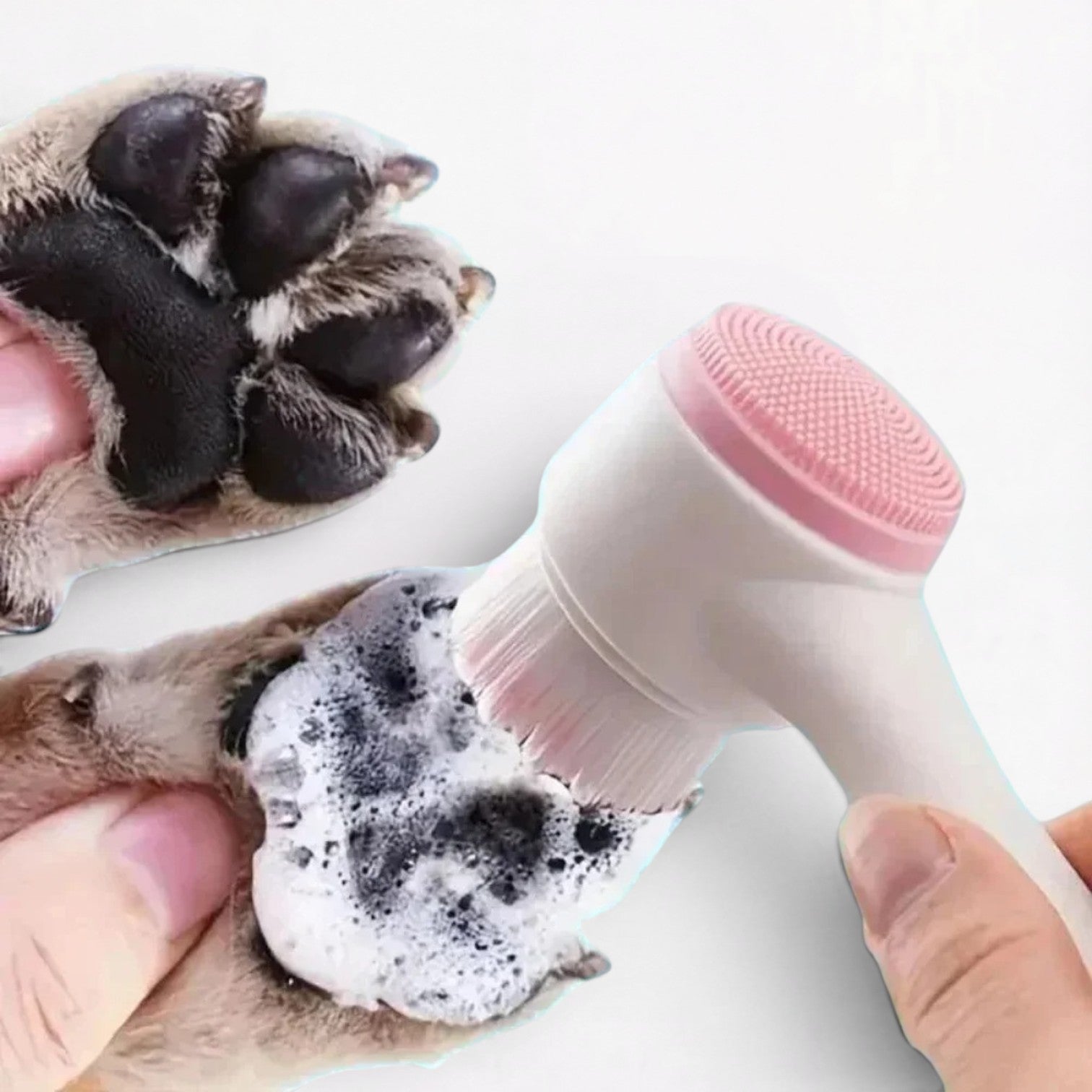 DachPaw-Dachshund-Paw-Cleaner-Massage-Brush.jpg