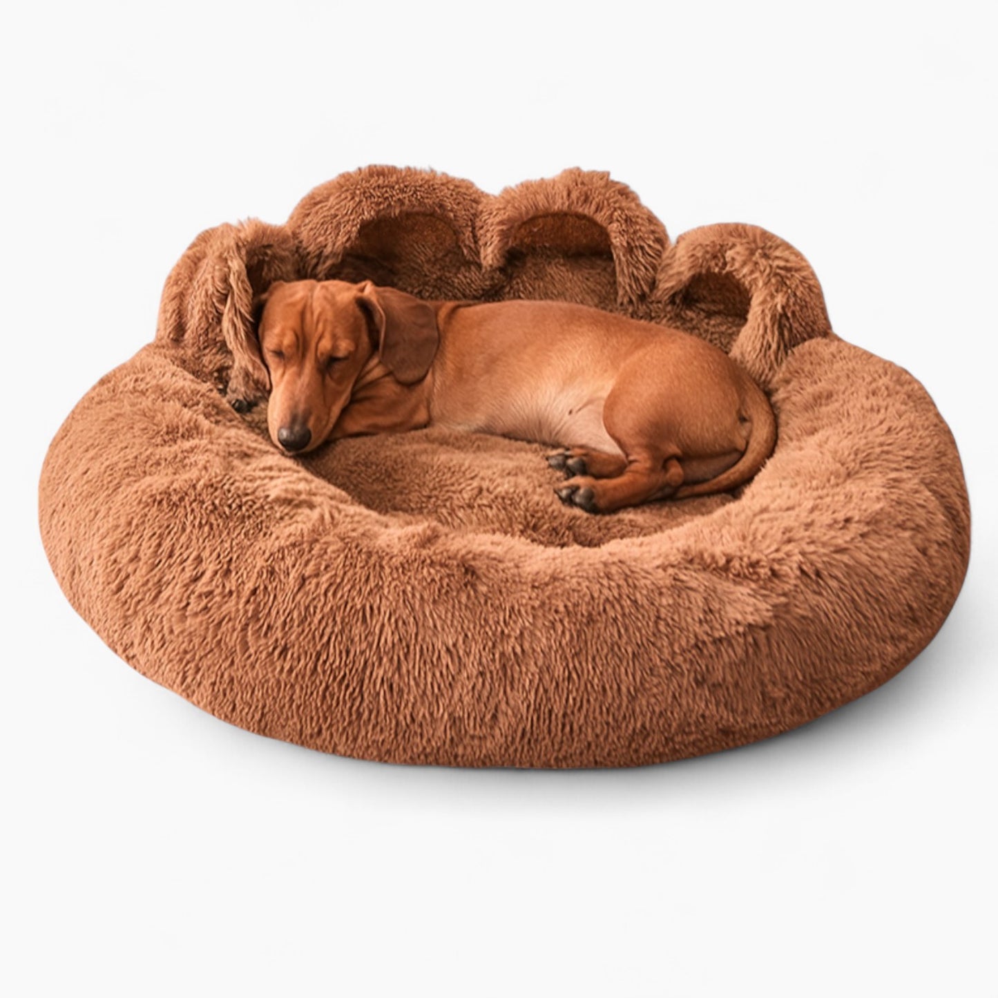 DachRest-Dachshund-Sofa-Dog-Bed.jpg