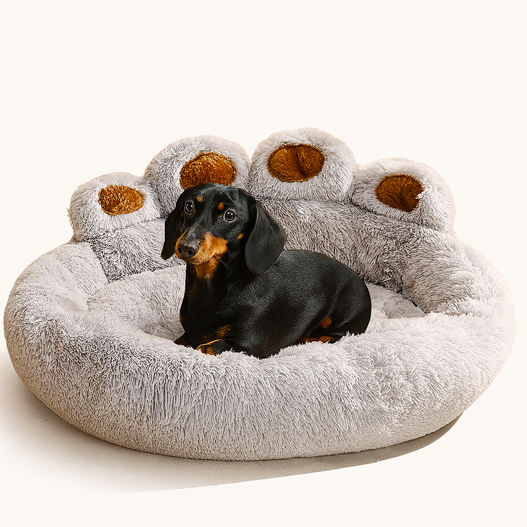 DachRest-Dachshund-Sofa-Dog-Bed.jpg