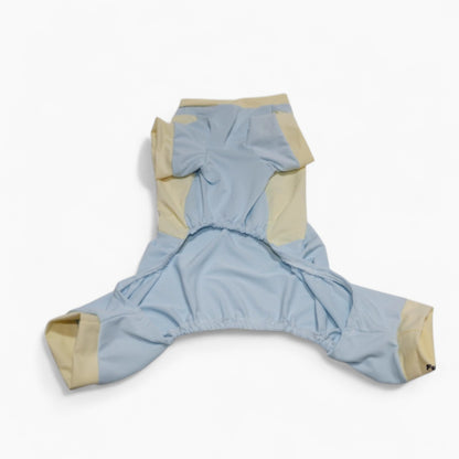 DachShine-Dachshund-Winter-Jacket.jpg