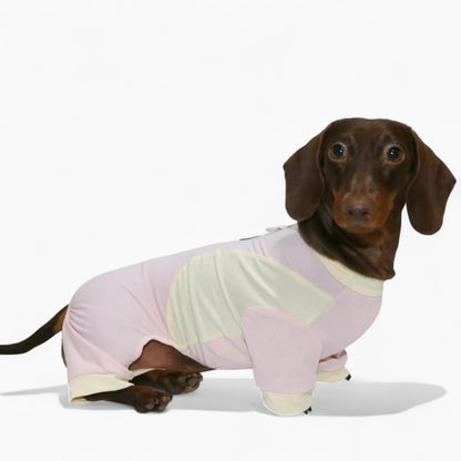 DachShine-Dachshund-Winter-Jacket.jpg