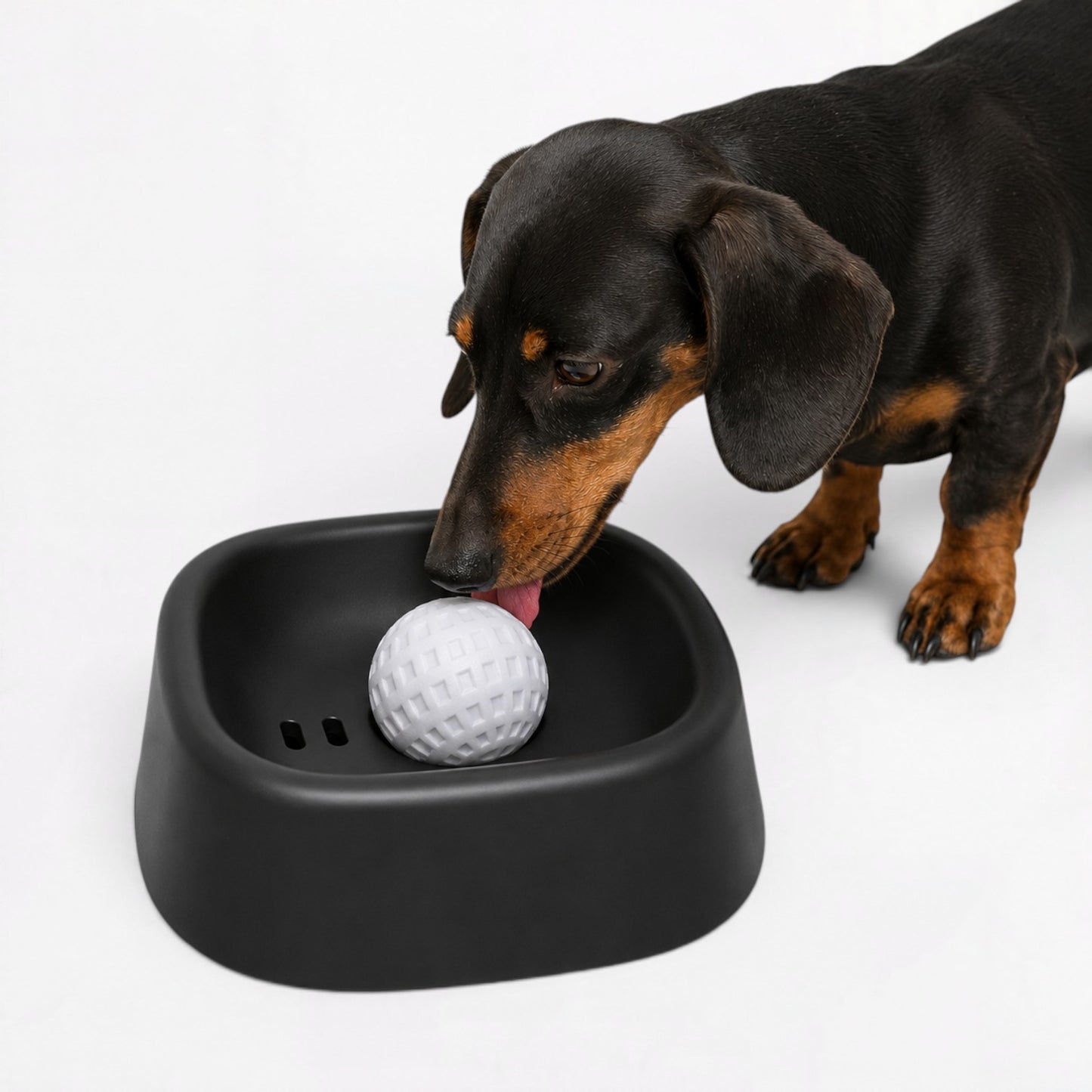DachSip-Dachshund-Anti-Gulping-Liquid-Bowl.jpg
