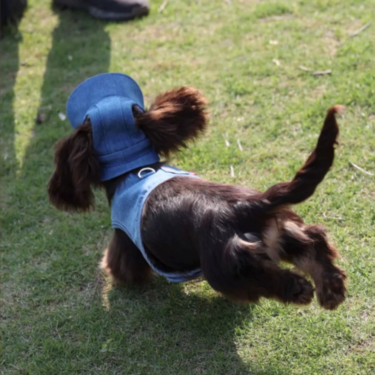 DachStyle-Dachshund-Cowboy-Sun-Hat.jpg