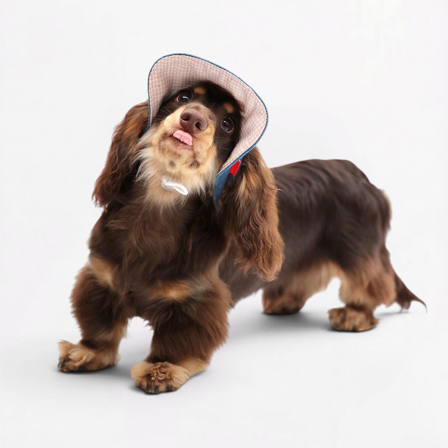 DachStyle-Dachshund-Cowboy-Sun-Hat.jpg