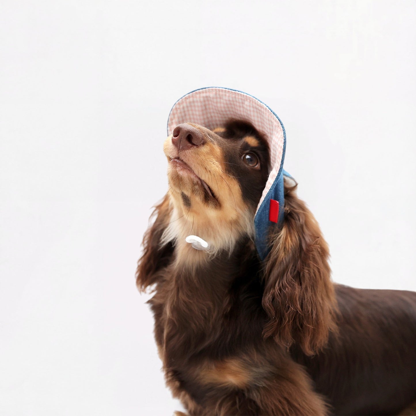 DachStyle-Dachshund-Cowboy-Sun-Hat.jpg