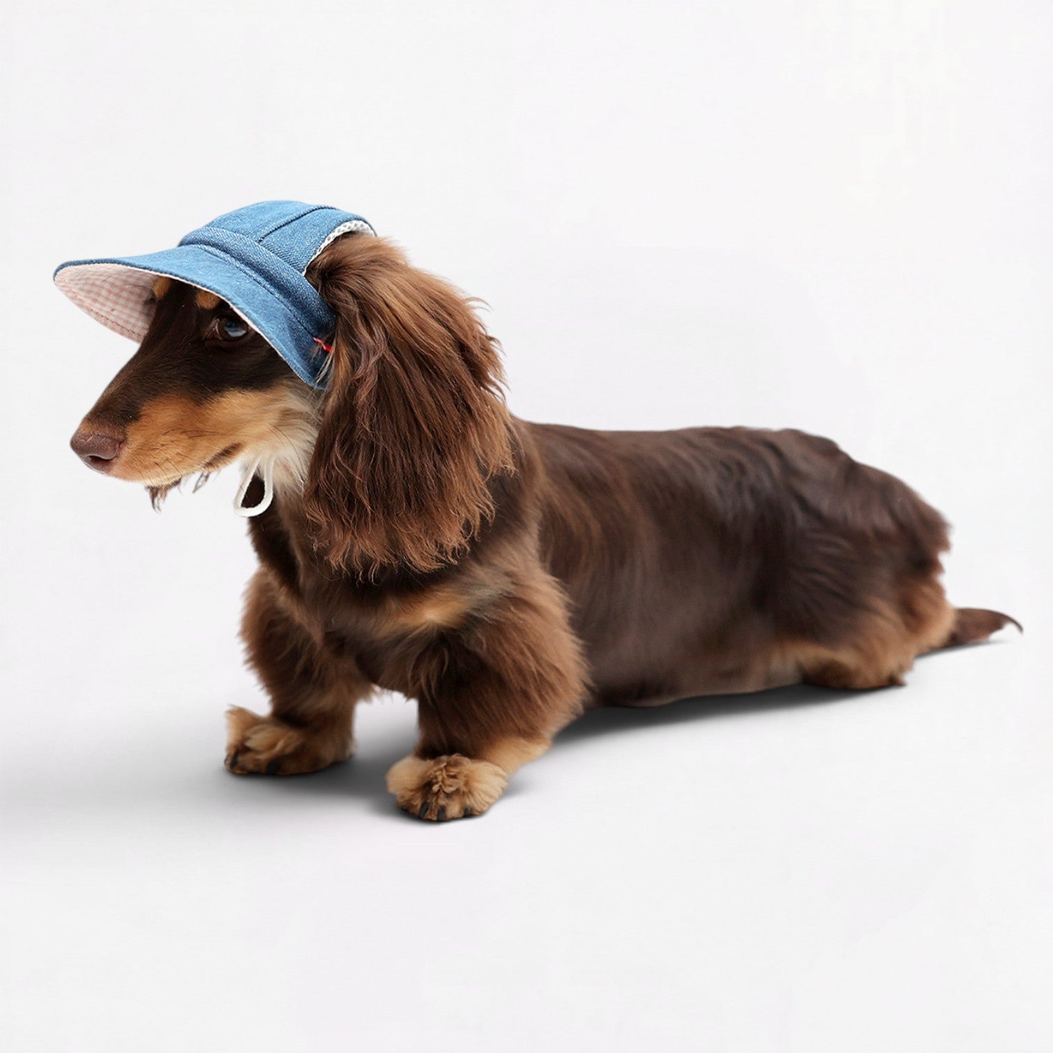 DachStyle-Dachshund-Cowboy-Sun-Hat.jpg