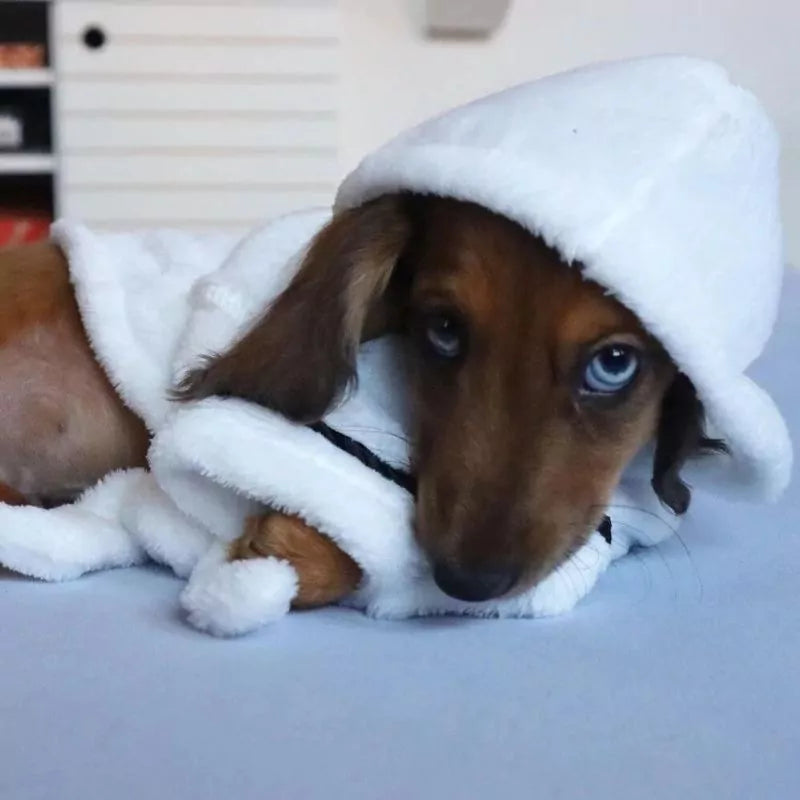 Dachshund-Bath-Robe-www.doxie.us