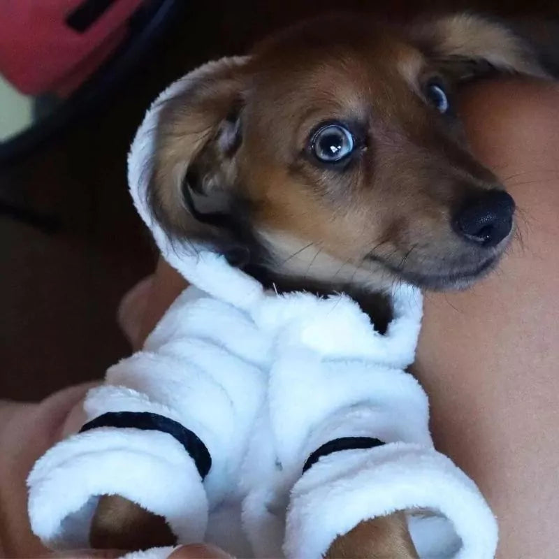 Dachshund-Bath-Robe-www.doxie.us