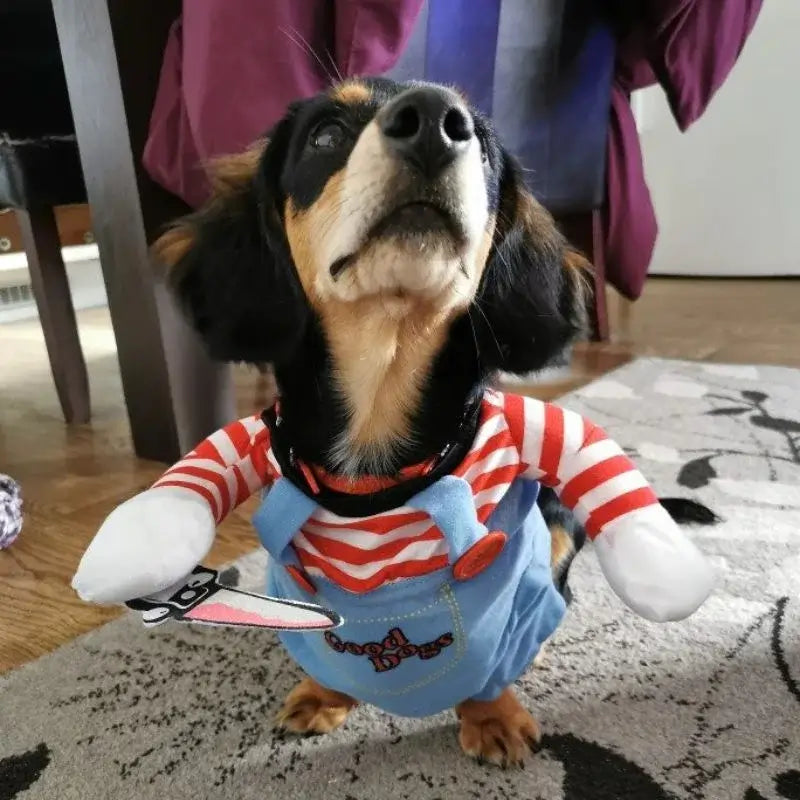 Dachshund-Cosplay-Halloween-Costume-www.doxie.us