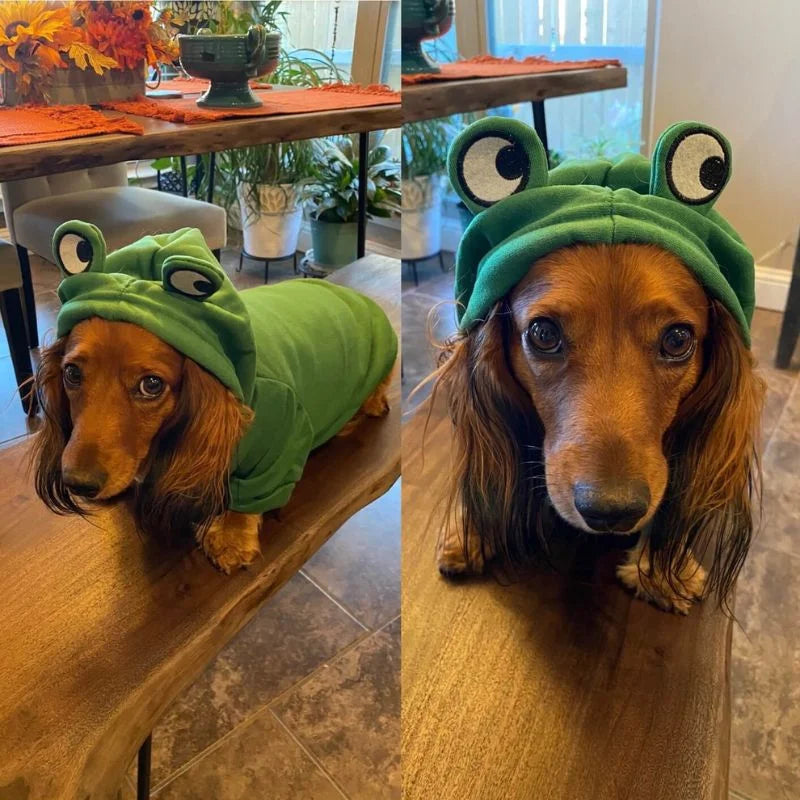 Dachshund-Frog-Hoodie-Warm-Doxie-Sweatshirt-www.doxie.us