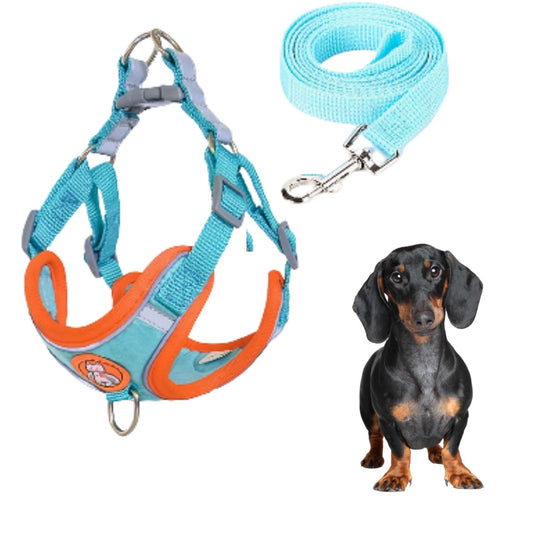 Dachshund-Harness-Leash-Set-Adjustable-Soft-Vest-No-Pull.jpg