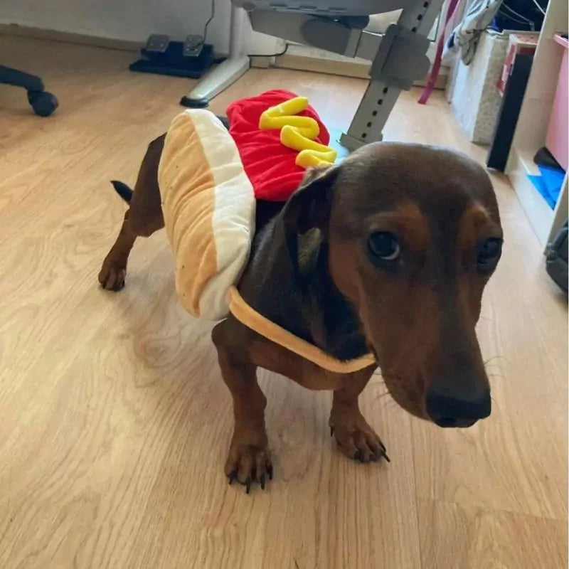 Dachshund-Hot-Dog-Halloween-Costume-www.doxie.us