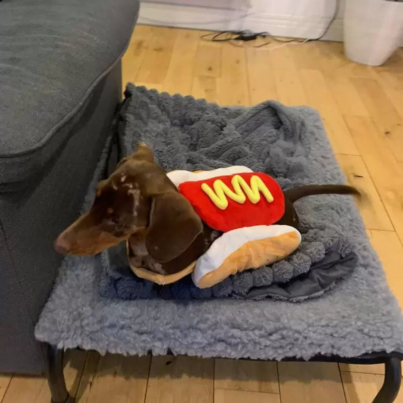 Dachshund-Hot-Dog-Halloween-Costume-www.doxie.us