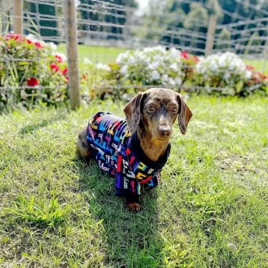 Dachshund-Luxury-Cotton-Shirt-www.doxie.us