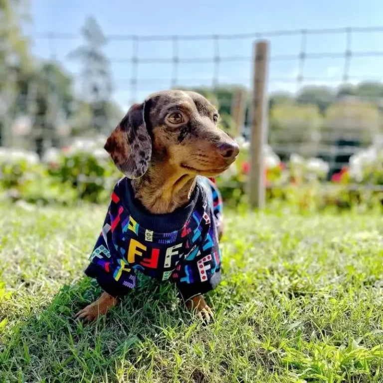 Dachshund-Luxury-Cotton-Shirt-www.doxie.us