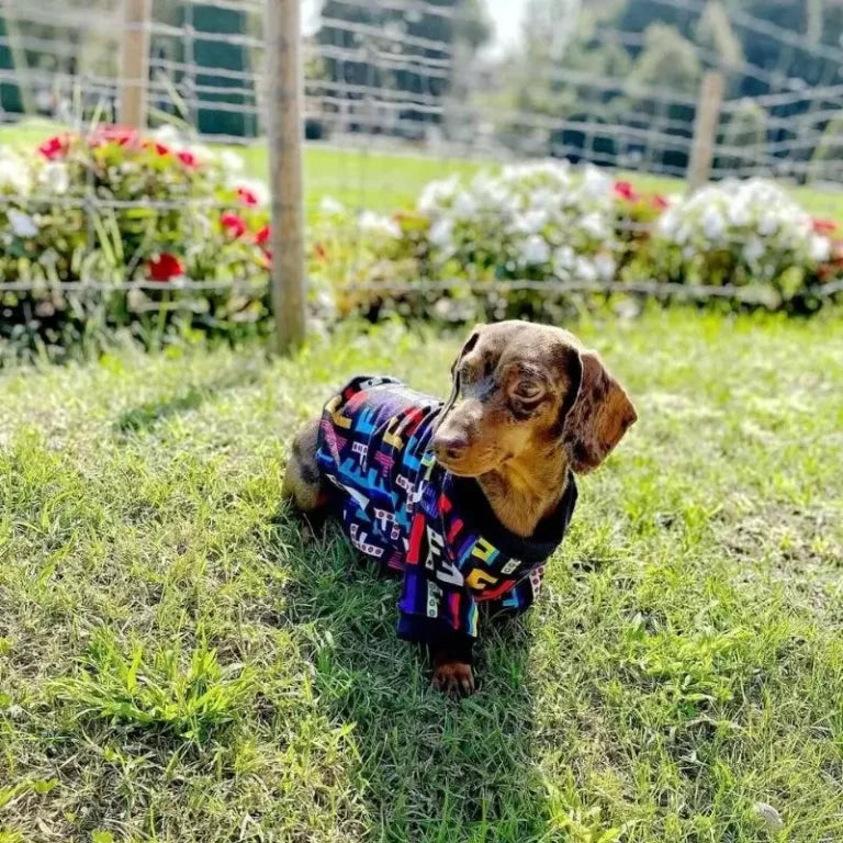 Dachshund-Luxury-Cotton-Shirt-www.doxie.us