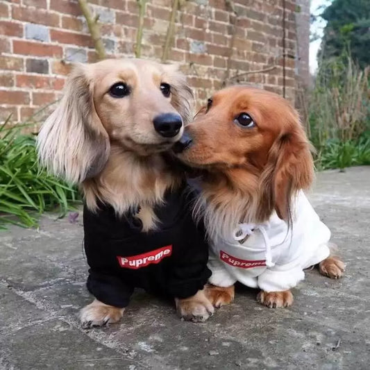 Dachshund Pupreme Hoodie