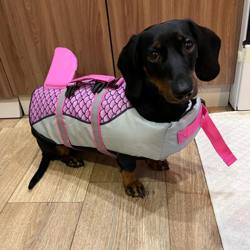 Dachshund-Shark-Life-Vest-Ultimate-Safety-Swimming-Suit-doxie.us