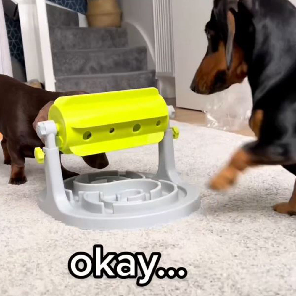 Dachshund-Slow-Feeder-Roller-Toy-www.doxie.us