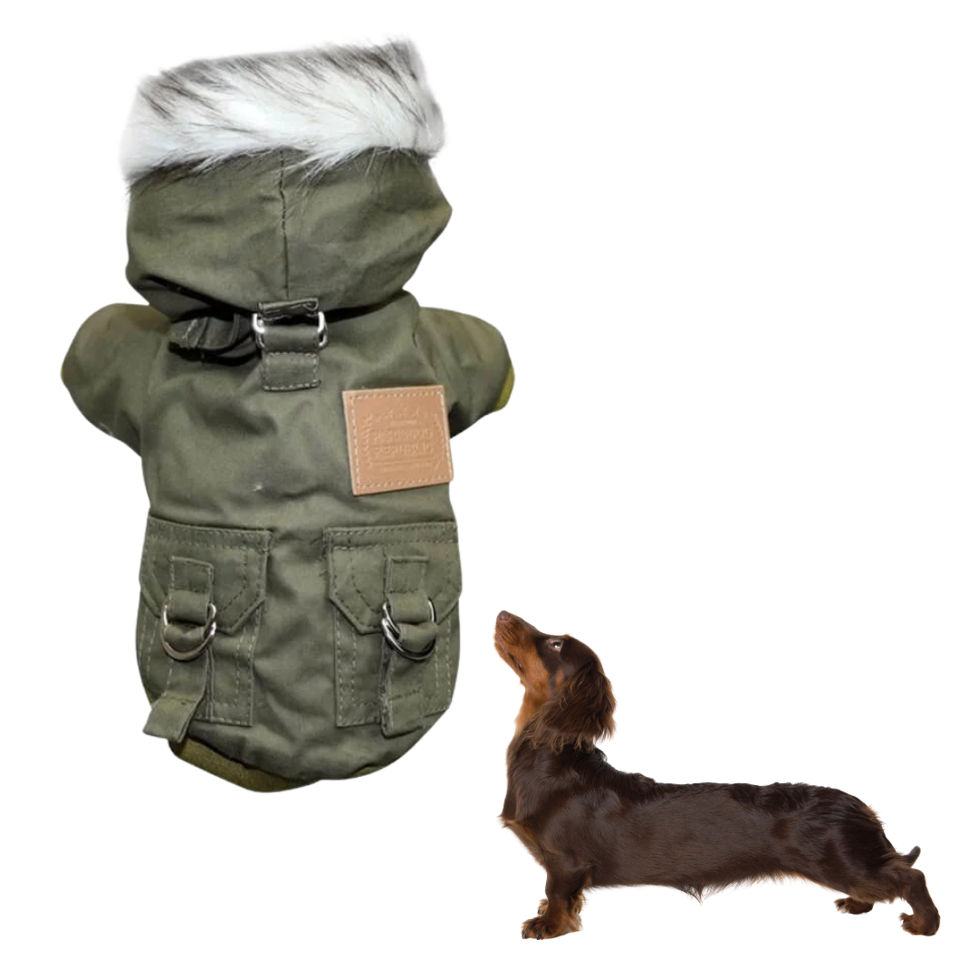 Dachshund-Thick-Hoodie-Jacket-www.doxie.us