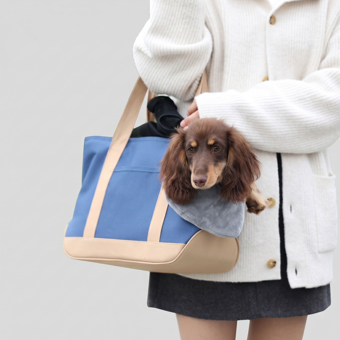 Dachshund-Travel-Carrier-Bag-Tote-with-Soft-Head-Pillow-1