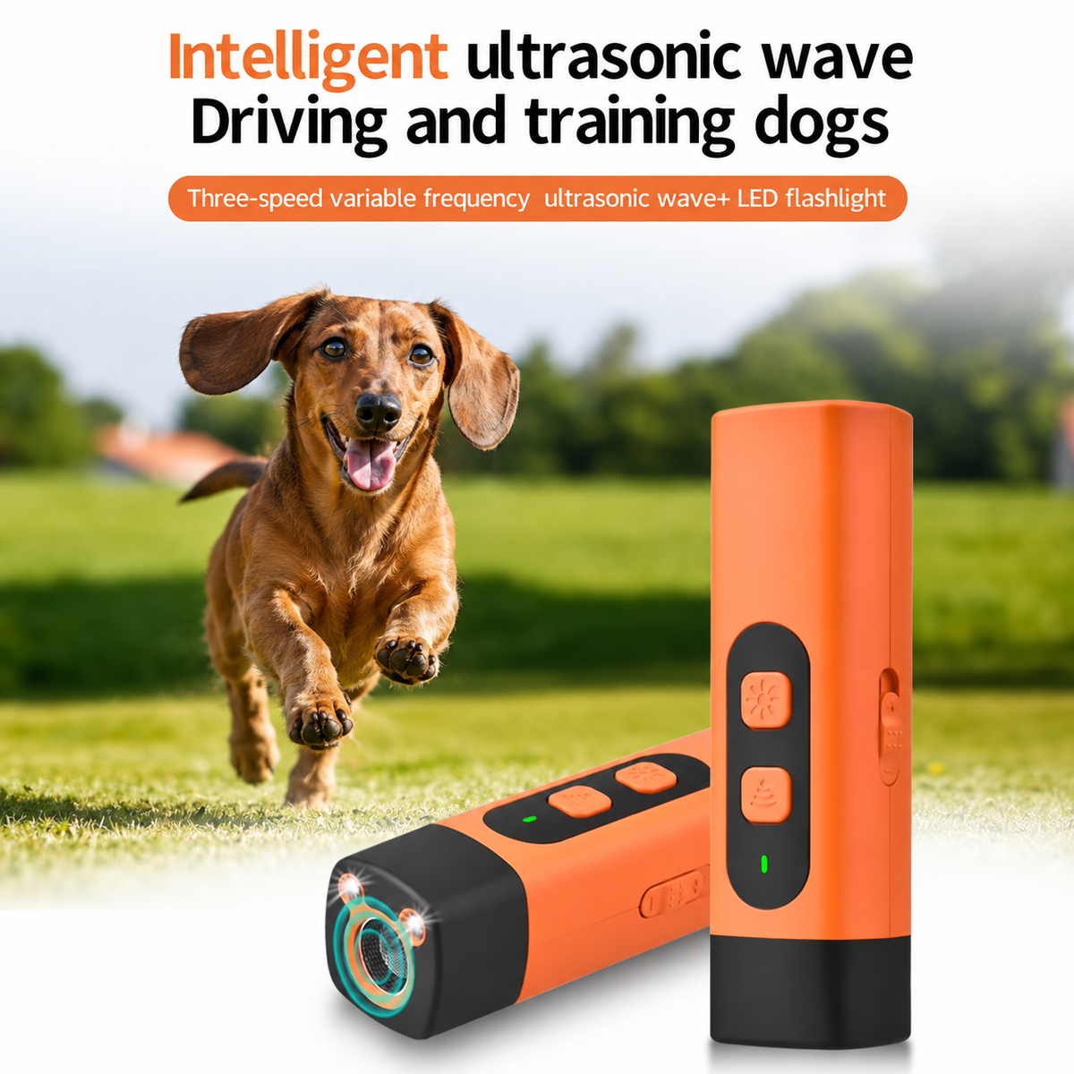 Dachshund-Ultrasonic-Bark-Control-Device.png