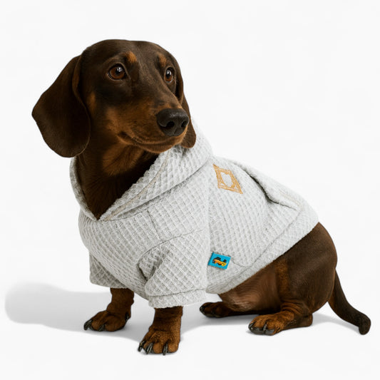 Dachshund-Waffle-Hoodie.jpg