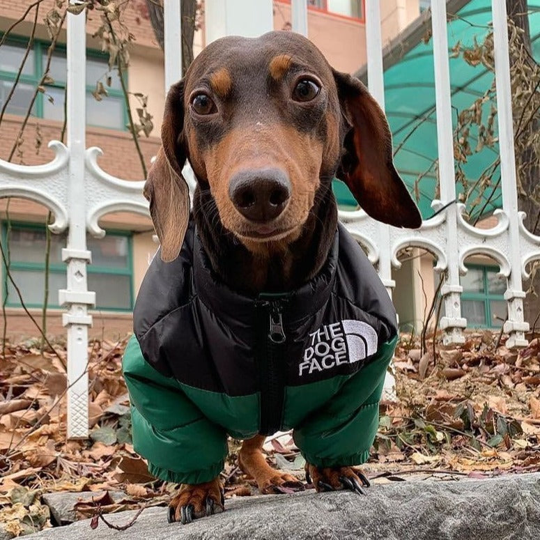 Dachshund-Warm-Windproof-Jacket-doxie.us