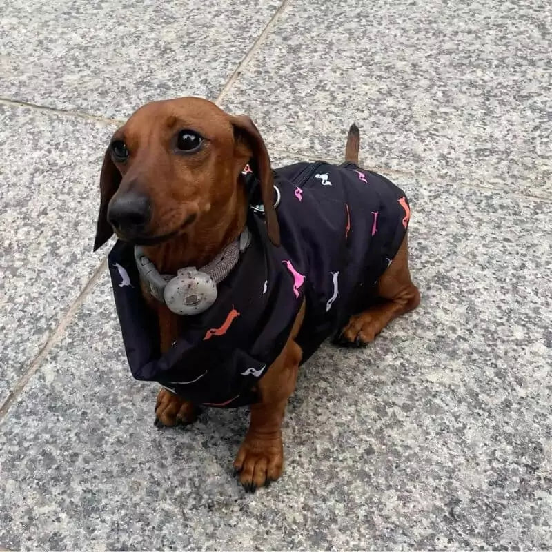 Dachshund-Zipper-Vest-Windproof-Winter-Jacket-www.doxie.us