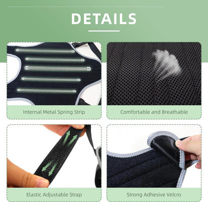 Dachshund back support brace for IVDD, view 2