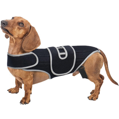 Dachshund back support brace for IVDD