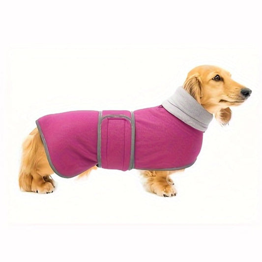 Dachshund-winter-coat-doxie.us