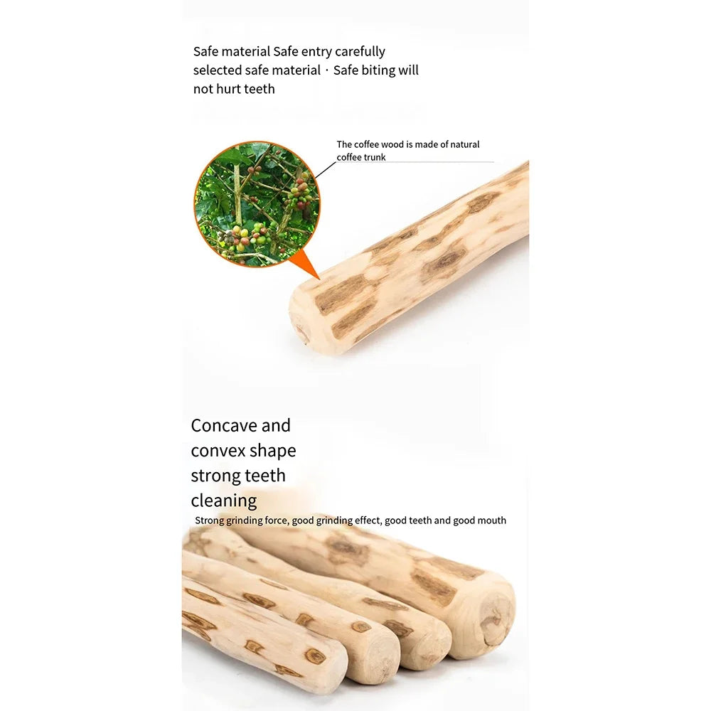 Dachshund Chew Toy – Natural Coffee Wood Toy for Dogs