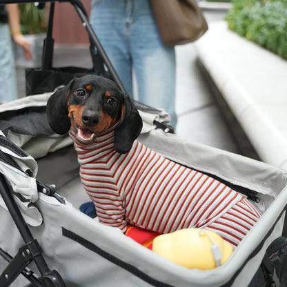 Dachshund High Neck Sweater – Soft Cashmere Striped Loungewear
